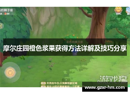 摩尔庄园橙色浆果获得方法详解及技巧分享