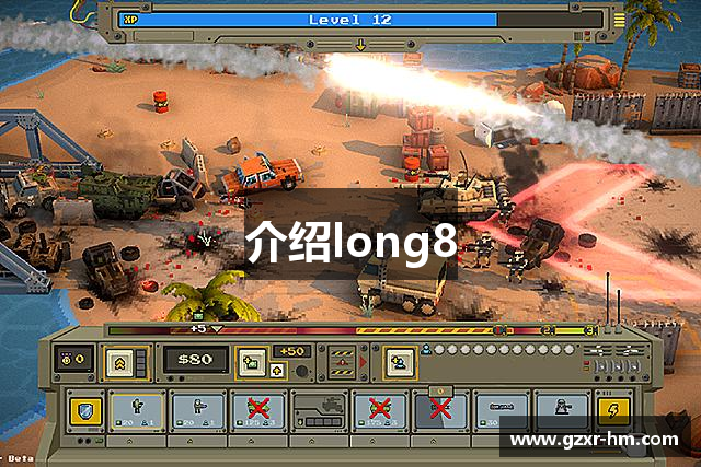 介绍long8