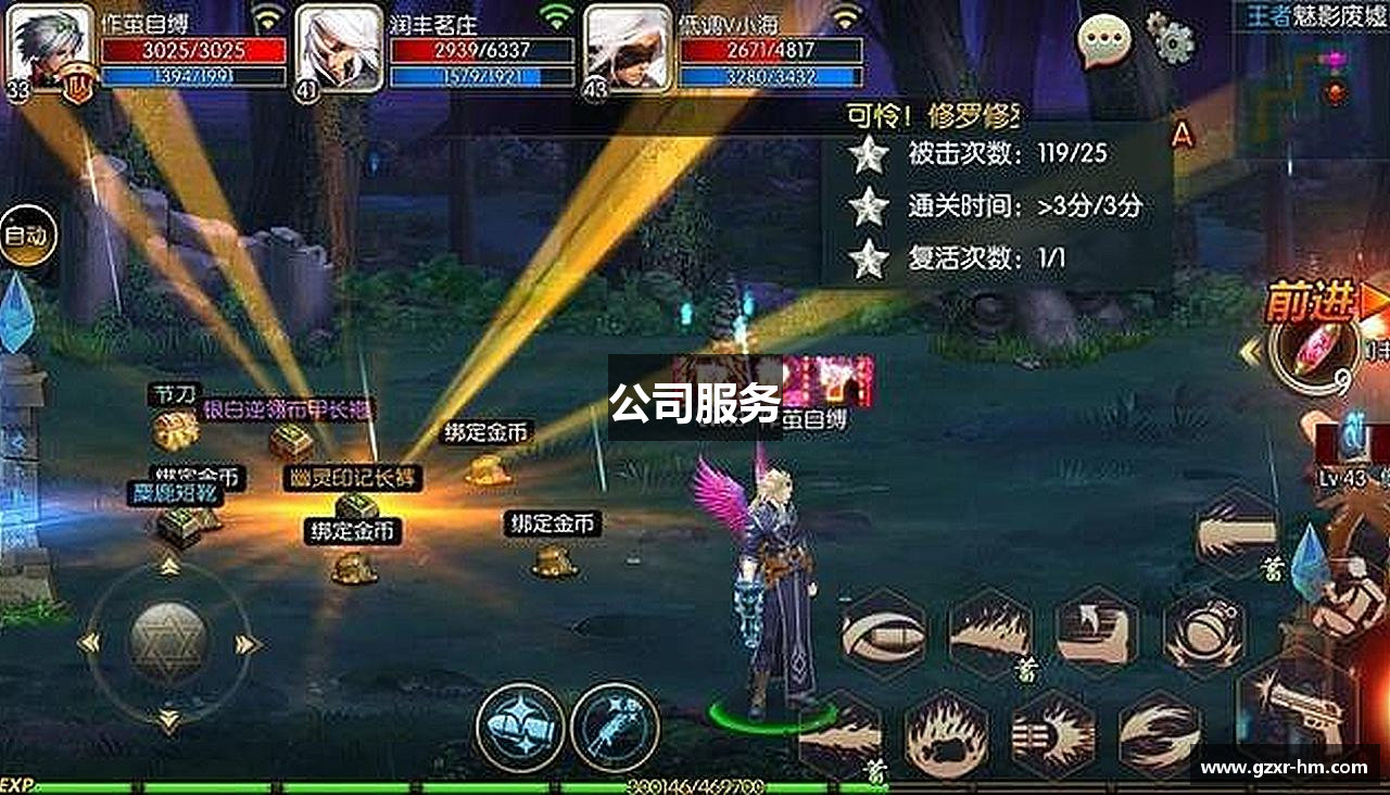 公司服务